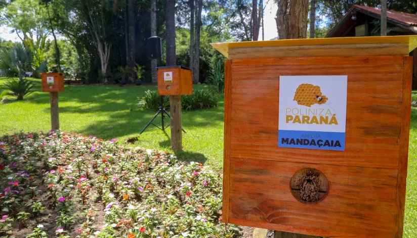 Para promover a biodiversidade, Parque do Ingá recebe colmeia do projeto Poliniza Paraná