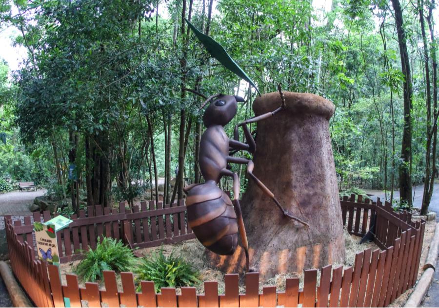 Veja fotos da exposição “Primavera Encantada: Natureza Gigante” 