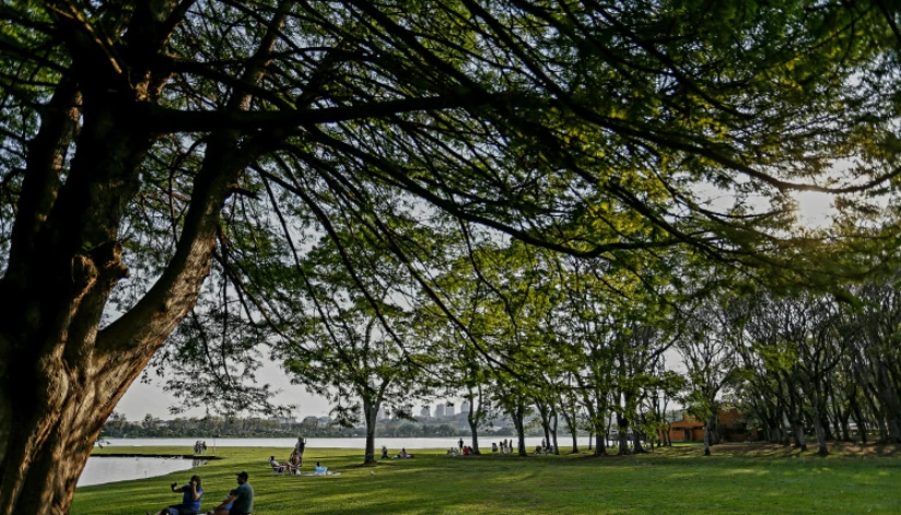 Setembro começa com calor e chuvas mais intensas, de acordo com previsão do Simepar Setembro começa com calor e chuvas mais intensas, de acordo com previsão do Simepar