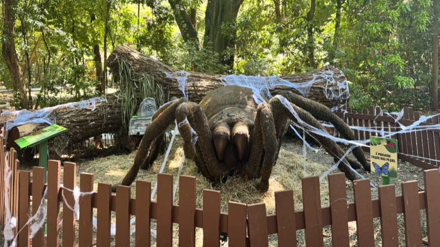 Veja fotos da exposição “Primavera Encantada: Natureza Gigante” 