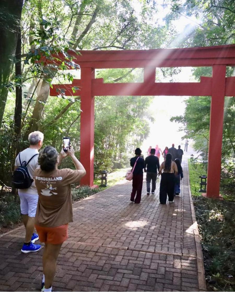 Veja fotos do novo Jardim Japonês do Parque do Ingá 