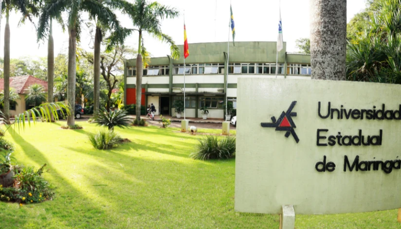 Unidade de Psicologia Aplicada da UEM oferta grupo de orientação profissional para adolescentes Unidade de Psicologia Aplicada da UEM oferta grupo de orientação profissional para adolescentes