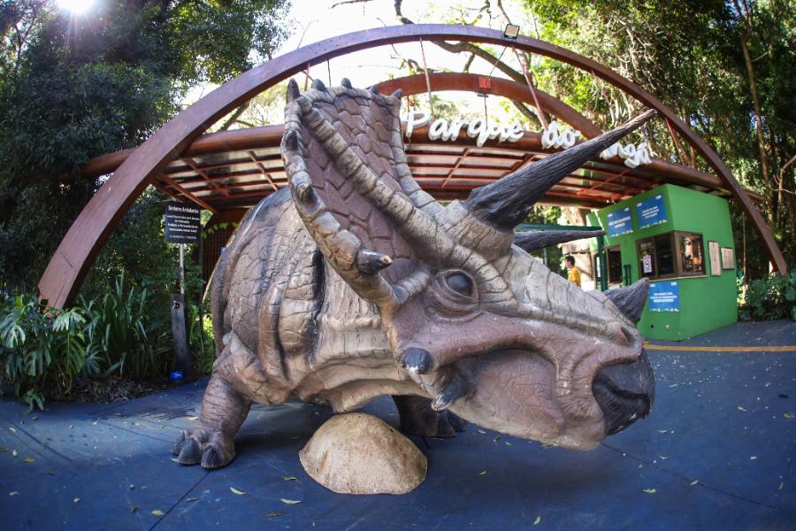 Adeus aos dinossauros: veja fotos da exposição ‘Jurássico Condor’ 