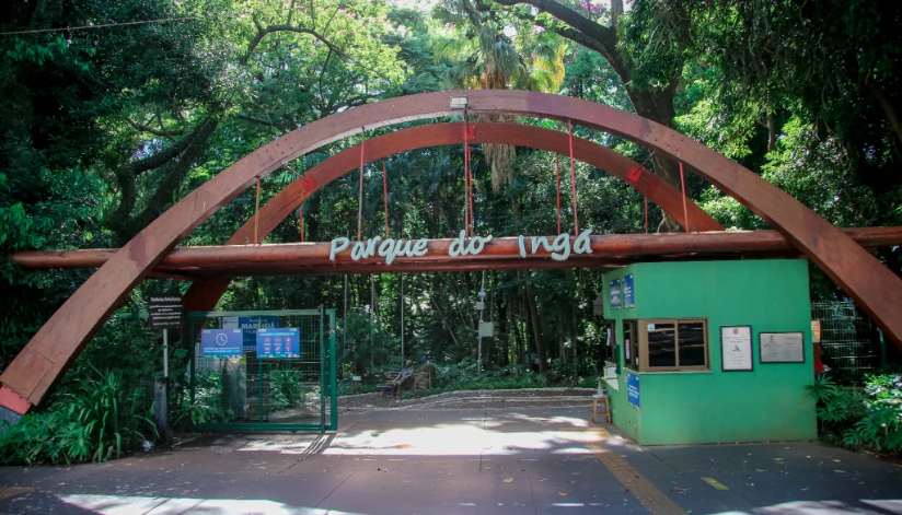 Edital de concessão do Parque do Ingá prevê arvorismo, tirolesa e café locomotiva