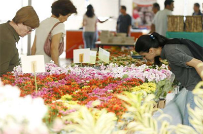 13ª Expoflor de Maringá apresenta mais de 200 espécies de flores e plantas