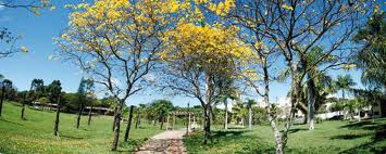 Semana Ambiental da UEM começa com uma "bicicletada" e um abraço no Parque do Ingá