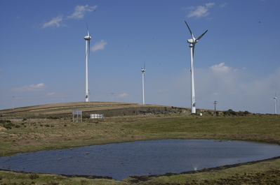 Copel anuncia compra de participação em quatro parques eólicos no Nordeste