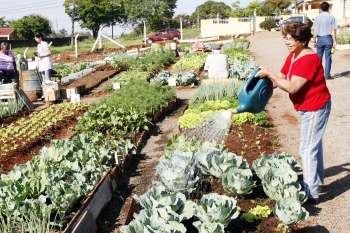 Hortas Comunitárias conquistam mais um prêmio nacional