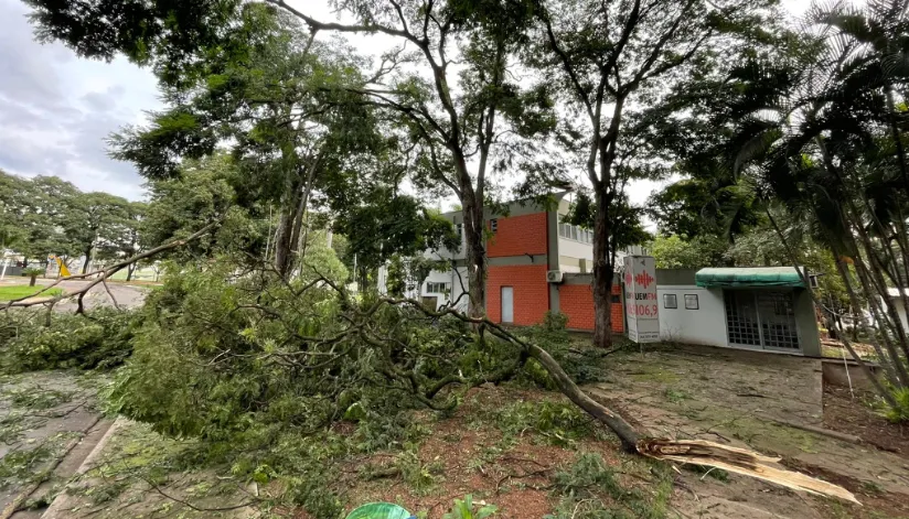 UEM suspende atividades nesta segunda-feira (25) devido aos danos causados pela tempestade