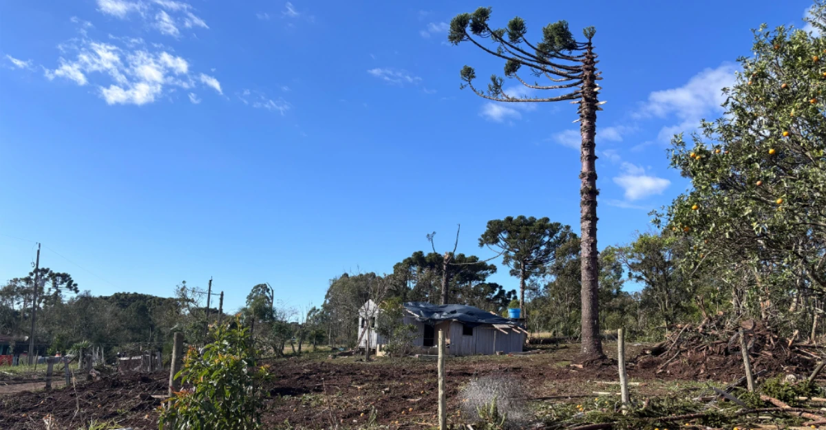 Tornado atingiu cidade nos Campos Gerais do Paraná; ventos chegaram a 200 km/h