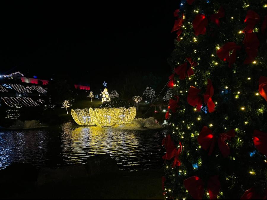 Decorações da Maringá Encantada iluminam o Centro e o Parque do Japão; veja fotos 