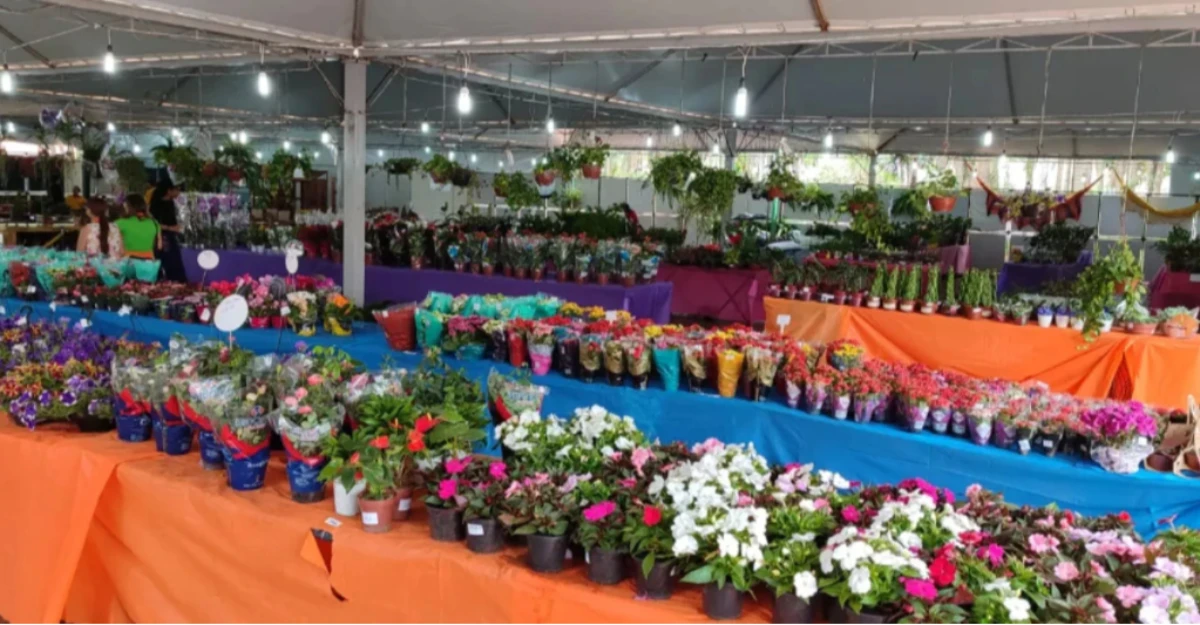 Expoflor 2026 tem início nesta quinta-feira (3) com plantas a partir de R$ 5
