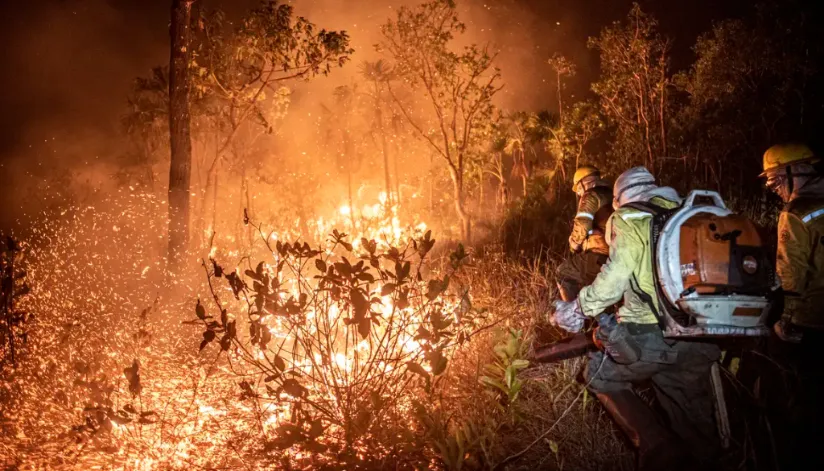 Brasil teve mais de 11 milhões de hectares atingidos pelo fogo neste ano