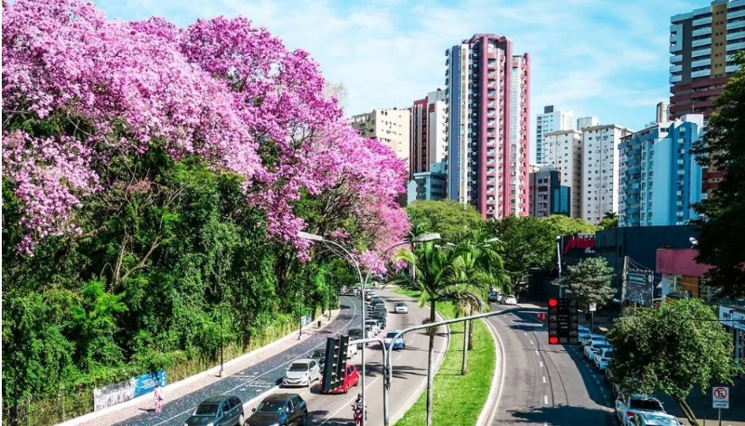 Saiba o que abre e fecha em Maringá nesta sexta (15), feriado de Proclamação da República