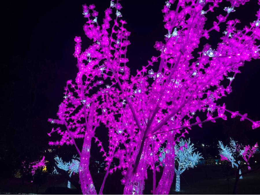 Decorações da Maringá Encantada iluminam o Centro e o Parque do Japão; veja fotos 