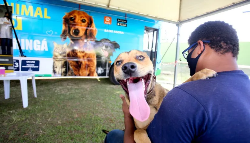 Bem-Estar Animal nos Bairros tem início nesta terça-feira (24) na Vila Morangueira