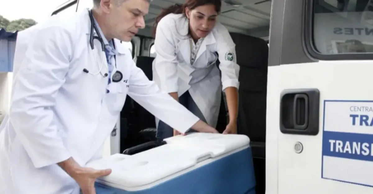 Mais de 31 mil transplantes foram realizados no Brasil em 2025