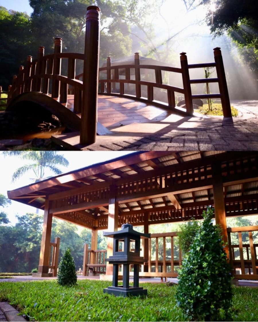 Veja fotos do novo Jardim Japonês do Parque do Ingá 