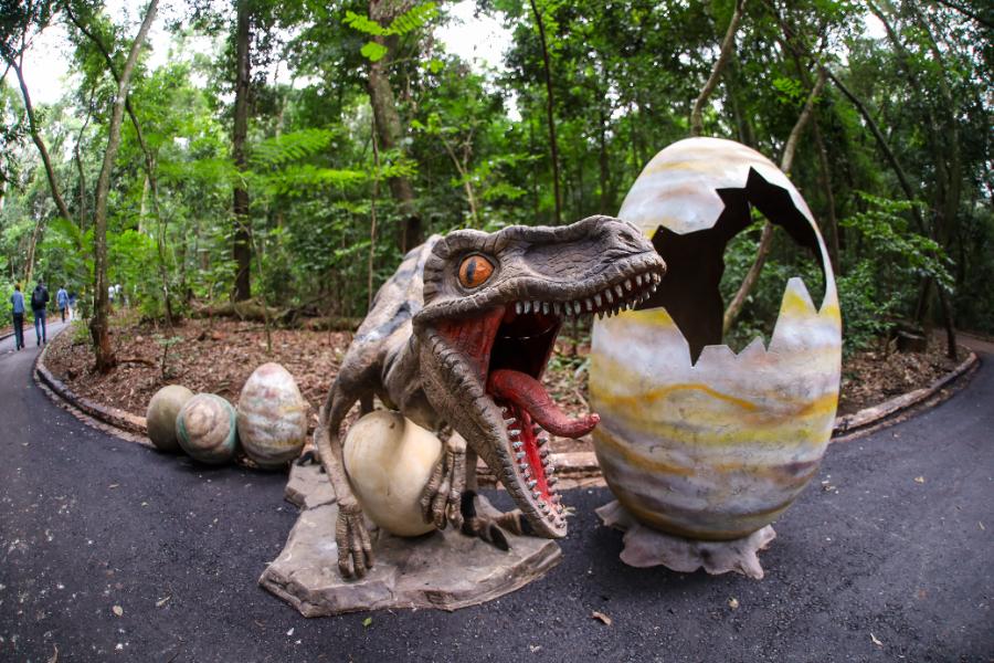 Adeus aos dinossauros: veja fotos da exposição ‘Jurássico Condor’ 