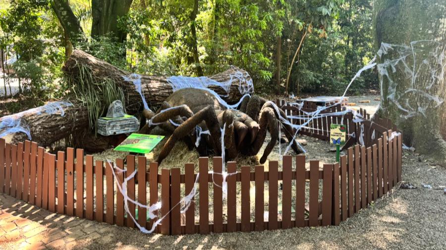 Veja fotos da exposição “Primavera Encantada: Natureza Gigante” 