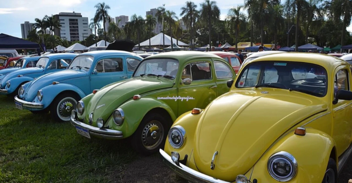 Festival celebra Dia do Fusca com exposição de carros, shows e feiras