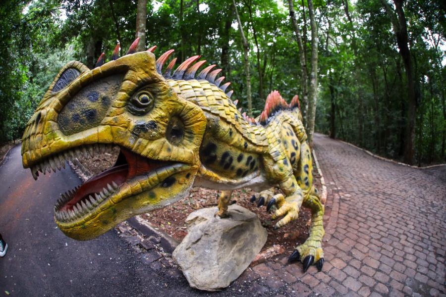 Adeus aos dinossauros: veja fotos da exposição ‘Jurássico Condor’ 