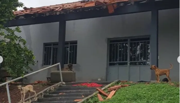 Abrigo de animais em Maringá é destruído após temporal; voluntários fazem campanha para reparos