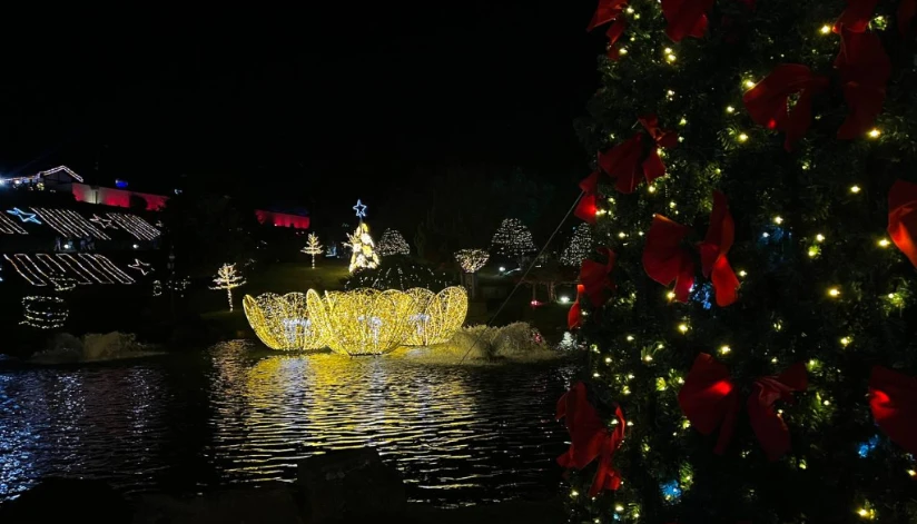 Decorações da Maringá Encantada iluminam o Centro e o Parque do Japão; veja fotos