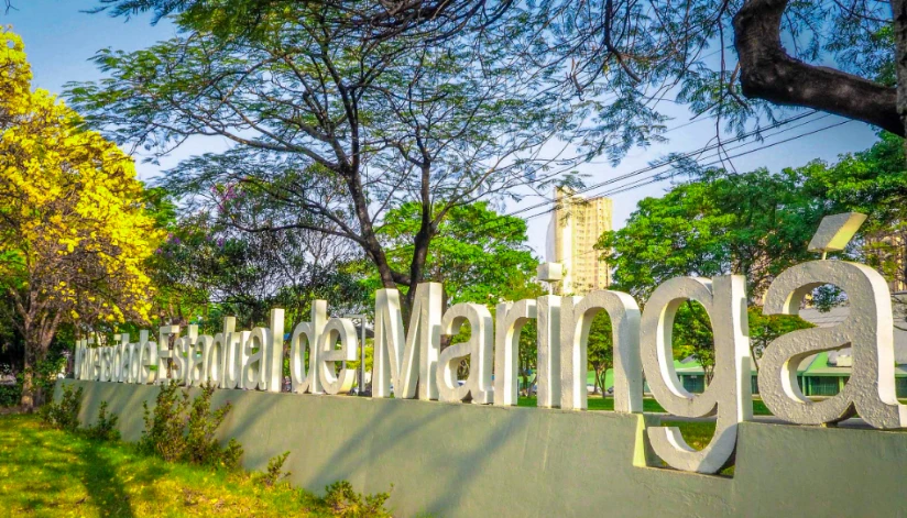UEM abre inscrições para Vestibular de Verão e PAS 2025