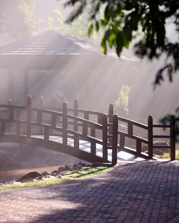 Veja fotos do novo Jardim Japonês do Parque do Ingá 