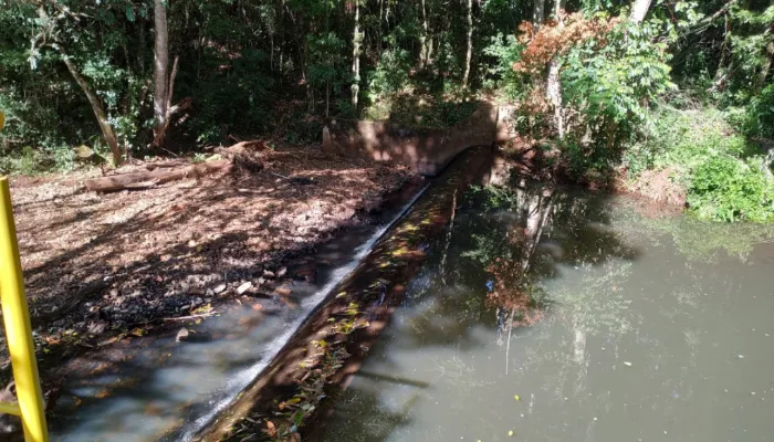 A foto mostra um rio que está sofrendo com a estiagem em Curitiba.