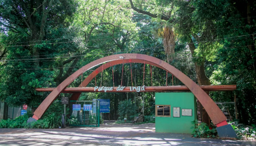 Parque do Ingá promove ‘Noite das Mariposas’ neste sábado (25); saiba como se inscrever