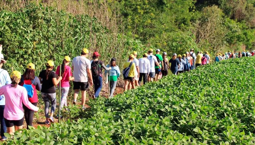 Caminhadas na Natureza: confira a programação de turismo rural em julho