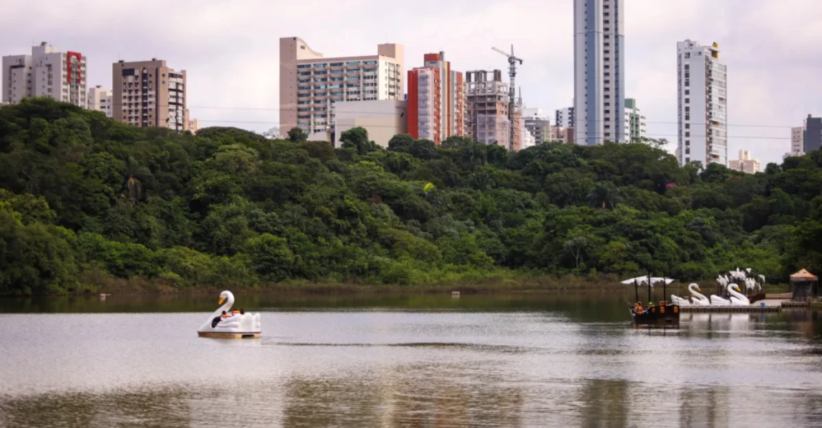 Denúncia sobre concessão do Parque do Ingá à iniciativa privada é arquivada; entenda