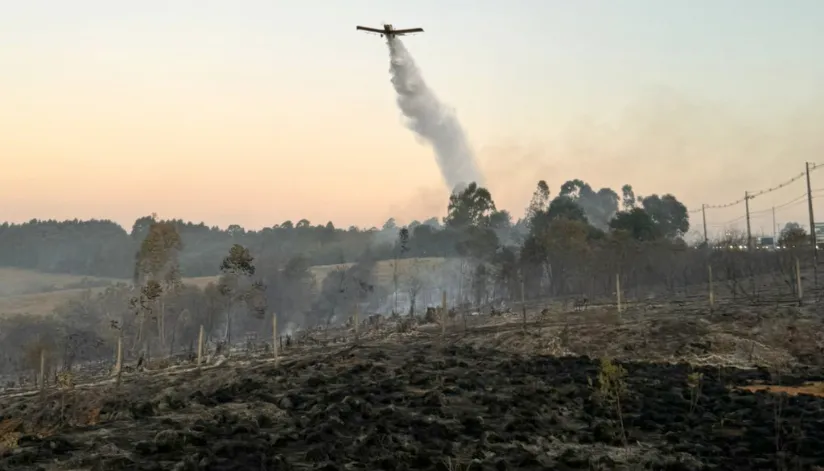 Número de incêndios florestais no Paraná registra queda de 57%