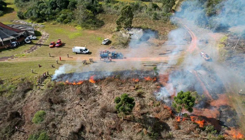 Queima controlada no campo está suspensa por 90 dias no Paraná