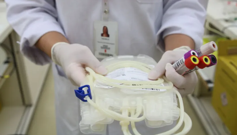Transplante de medula óssea: saiba como ser um doador e ajudar a salvar vidas