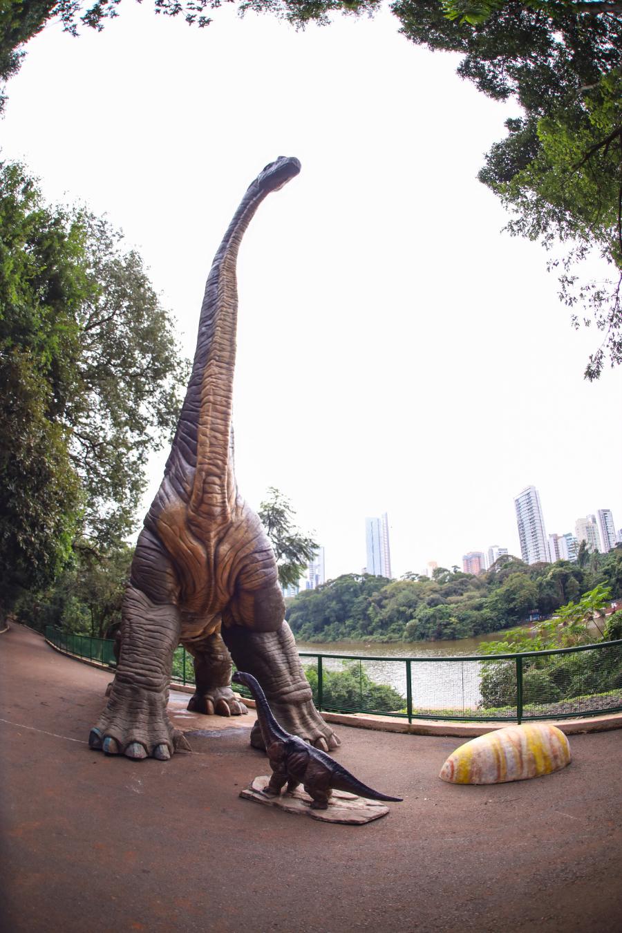Adeus aos dinossauros: veja fotos da exposição ‘Jurássico Condor’ 