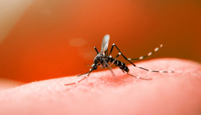 Mais 32 casos de dengue foram confirmados em Maringá na última semana, informa boletim da Sesa