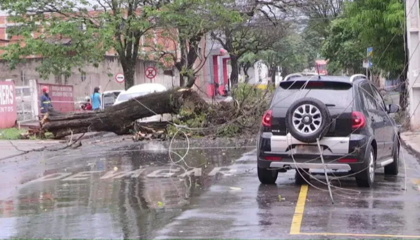 Chuva derruba mais de 50 árvores e deixa 35 mil imóveis sem energia em Maringá