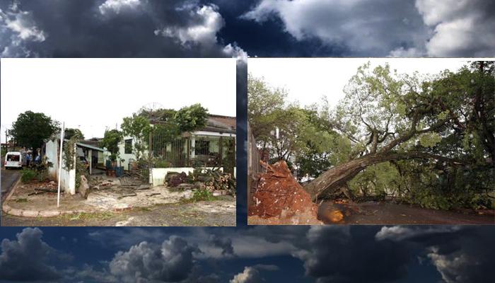 Chuva e ventos de até 128 km/h causam estragos em Maringá
