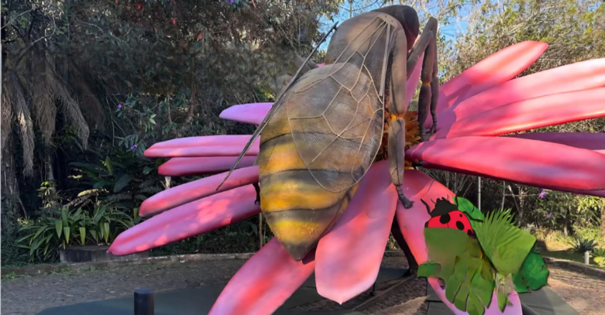 Exposição de insetos gigantes no Parque do Ingá tem data de abetura anunciada; confira