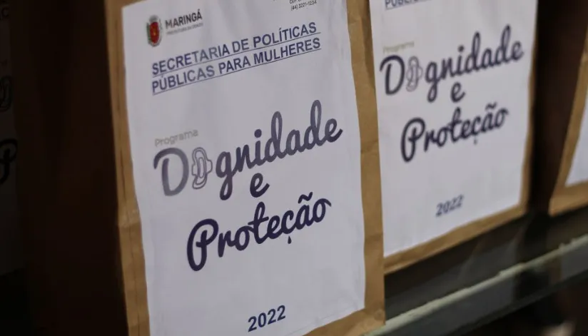 A foto mostra duas caixas com o logo do Programa Dignidade e Proteção impressos na frente.