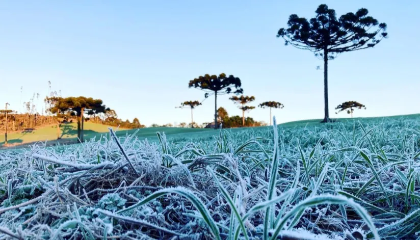Temperaturas próximas de 0ºC: primeira onda de frio chega ao Paraná na próxima semana Temperaturas próximas de 0ºC: primeira onda de frio chega ao Paraná na próxima semana