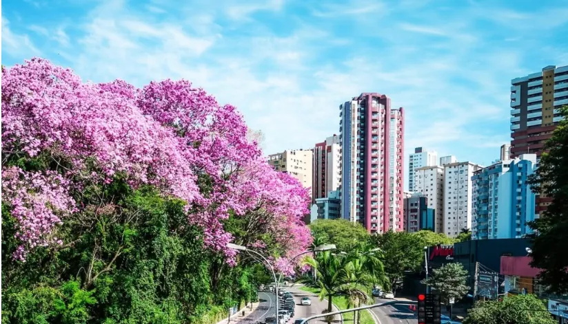 Semana começa com tempo estável e máxima de 26ºC em Maringá Semana começa com tempo estável e máxima de 26ºC em Maringá