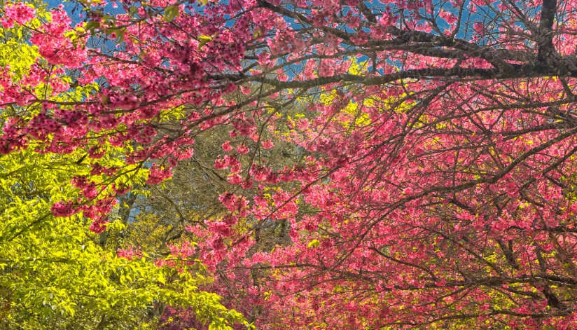 Primavera terá temperaturas altas e tempestades, afirma Simepar