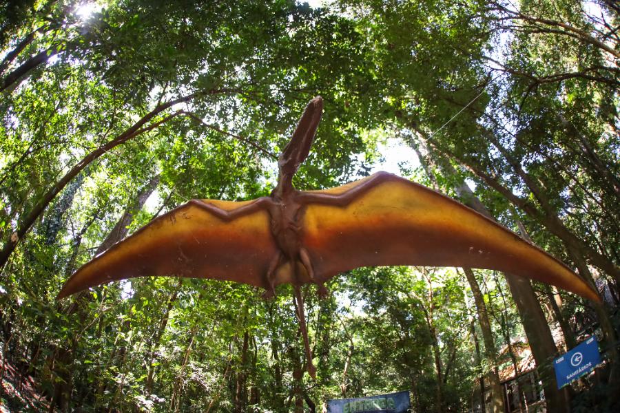 Adeus aos dinossauros: veja fotos da exposição ‘Jurássico Condor’ 