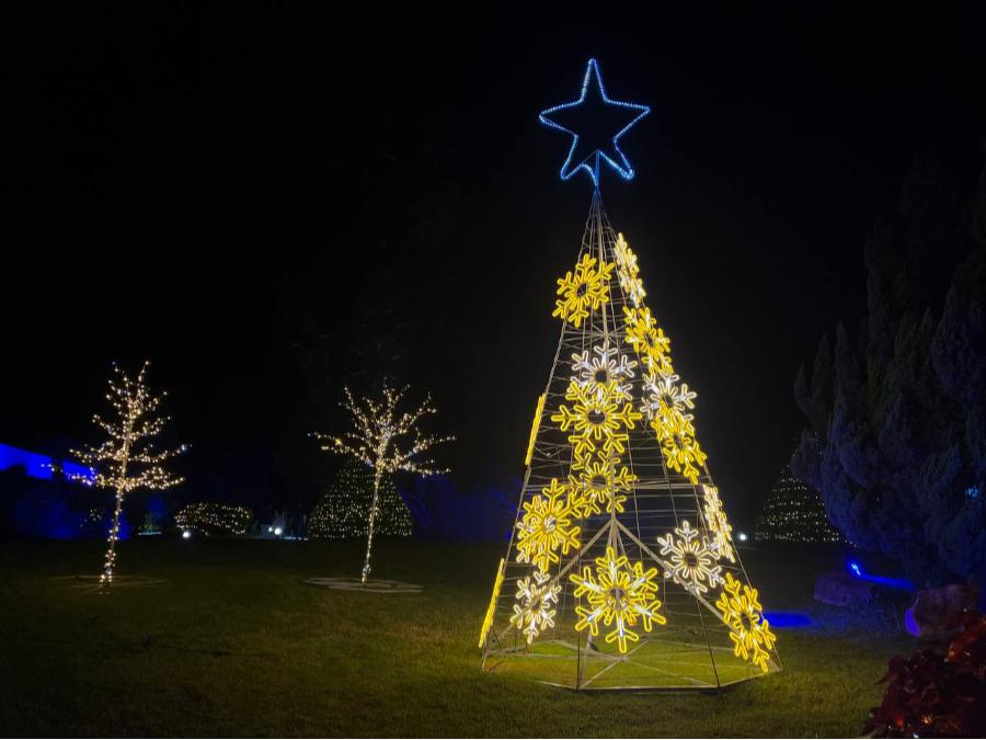 Decorações da Maringá Encantada iluminam o Centro e o Parque do Japão; veja fotos 