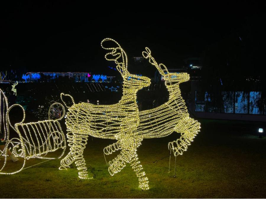 Decorações da Maringá Encantada iluminam o Centro e o Parque do Japão; veja fotos 