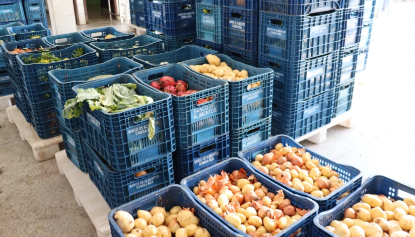 Veja orientações de como evitar o desperdício de frutas, verduras e hortaliças